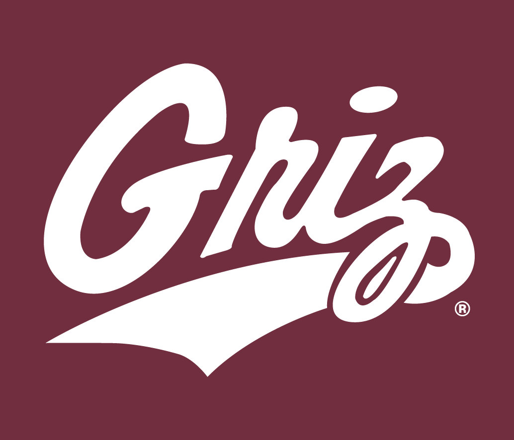 Montana Grizzlies 1996-Pres Alternate Logo v7 diy DTF decal sticker